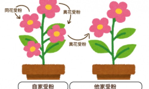 激光脱毛与光子脱毛的区别-专业激光脱毛和光子脱毛有什么区别平台-激光脱毛和脱毛仪的区别